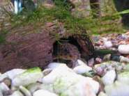 ����� IMG_0267.JPG