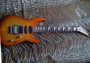 IMG_20131229_102756.jpg