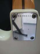 squier_5.jpg