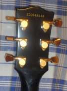 DSC00527.jpg