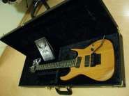 GuitaristForever: Любые инструменты из Америки 335090-0