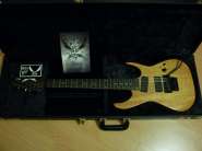 GuitaristForever: Любые инструменты из Америки 335092-1