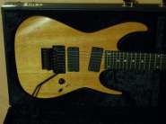 GuitaristForever: Любые инструменты из Америки 335094-2