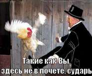 1302048307746.jpg