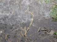 DSC01213.jpg