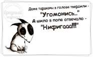 t4MsN5Mf3Vc.jpg