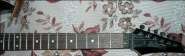 Ibanez1570-5.JPG