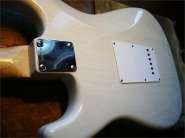 F.strat CS-5.jpg