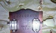 x_ef16c058.jpg