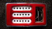 IMG_1237.jpg