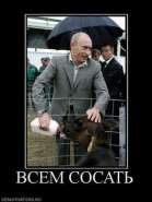 543677_vsem-sosat.thumbnail.jpg