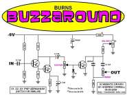 BURNS-BUZZAROUND.jpg