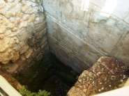 S8001204.jpg