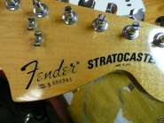 F.strat82-17.jpg