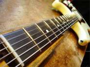 F.strat CS 2010-15.jpg