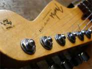 F.strat CS-7.jpg