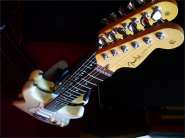 F.strat CS-10.jpg