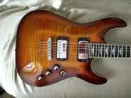 1_schecter+.JPG
