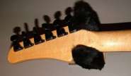 Hamer6.jpg