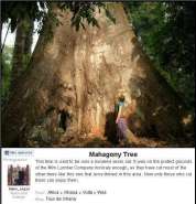 ���������� 3.jpg