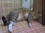 ����������� 040.jpg