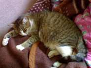 ����������� 041.jpg