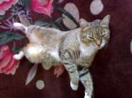 ����������� 050.jpg