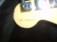 S6000383.jpg
