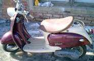 CIMG0559 cut.JPG
