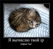 cc5f66dd2685ad4e17ce06244ce.jpg