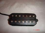 DSC02922-1.jpg