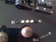 IMG828.jpg