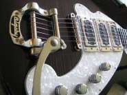 Любители hollowbody, объединяйтесь! 344353-2