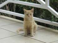 �����������! 005.jpg