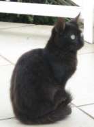 �����������! 035.jpg