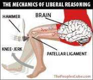 knee_jerk_liberal_reasoning.jpg