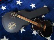 gibson180case2.jpg