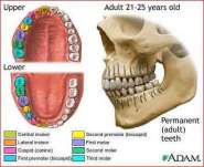 teeth.jpg