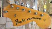 F.strat72-1.jpg