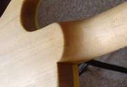 IbaLP Scruggs 15.jpg