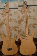 MyGuitar31-12-2006-small.JPG