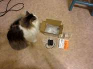 ���� � ���������.jpg