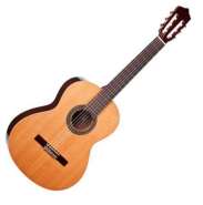 PEREZ 610 Cedar.jpg