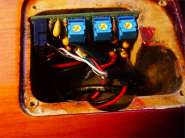 Blade Texas Standard Pro-8.jpg