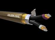 Golden Oval large.jpg