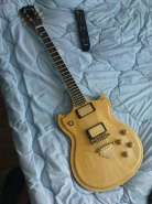 Ibanez professional.jpg