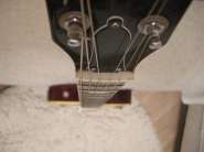 DSCN9061.jpg