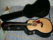 taylor-214-e.jpg
