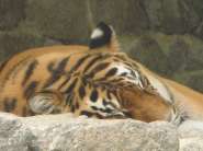IMG_5834.jpg