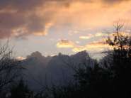 IMG_5101.jpg